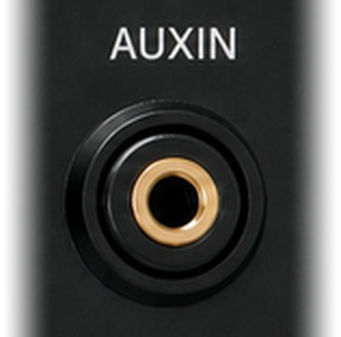 The AUX 3.5mm input, carried over from the XR